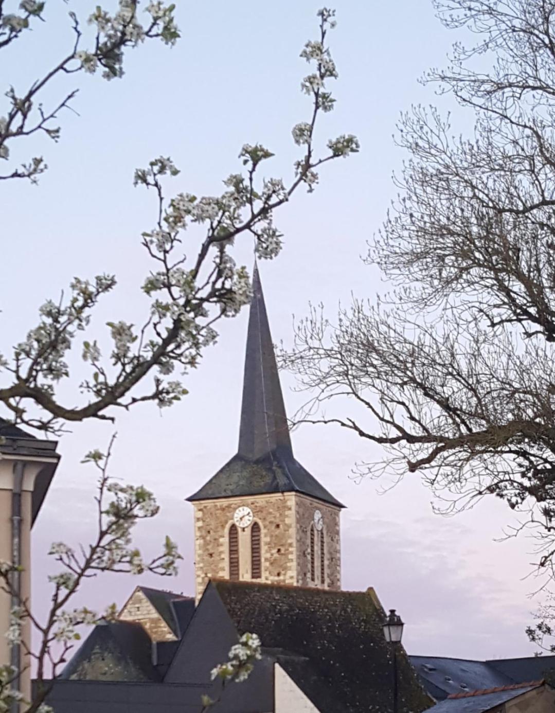 Gite Angers Proche ブリオレ エクステリア 写真